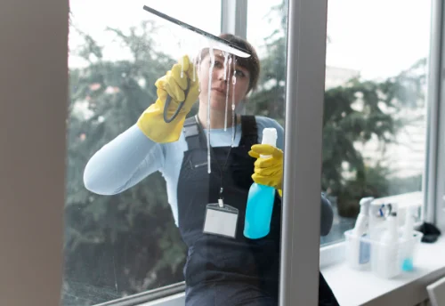 Nettoyage de vitres intérieures et extérieures à Borey